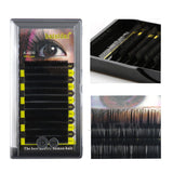 5 Box D Curl High Quality Eyelash Extension Individual Eyelashes Natural Eyelashes Make Up Fake False Eyelashes