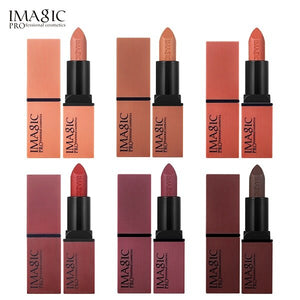 12PCS/LOT IMAGIC Velvet Matte 6 Colors Lip Stick Silky Temptation Rouge Beauty Batom Hot Sexy Colors Lipstick Make Up